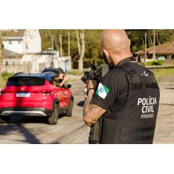 Suspeito é preso por diversos  furtos em Campo Largo